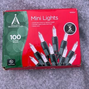 Christmas mini lights